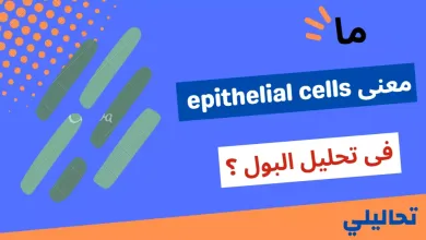 معنى epithelial cells